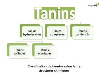 classification tanins