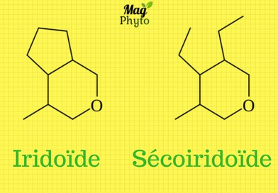 Iridoïde et Sécoiridoïde